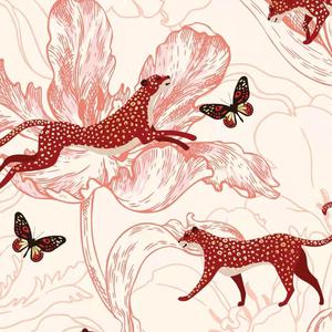 印度农村18HD69HD
