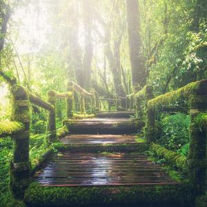 印度农村18HD69HD
